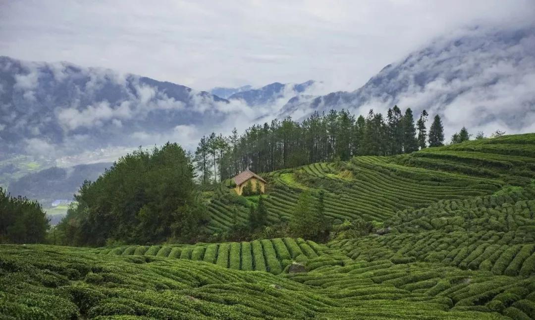 这里是勉县，一个让你流连忘返的地方