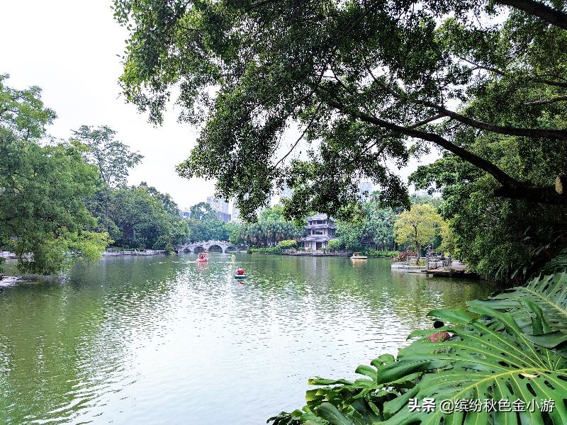 柳州柳侯公园有几个项目,柳州柳侯公园属于哪个区