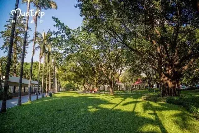 地铁直达!广州15个最适合春游的打卡点,春暖花开超好玩!