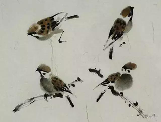 写意花鸟配景石的画法,干货写意花鸟类的画法