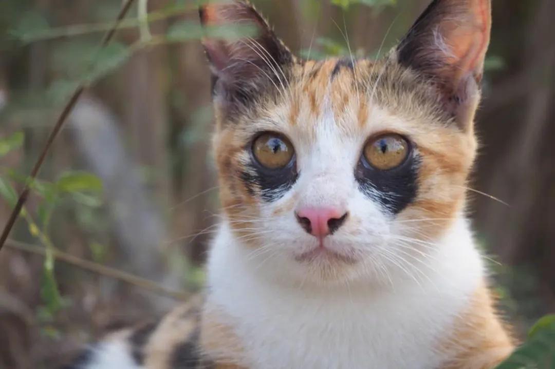 你的黑眼圈是怎么治好的,黑眼圈就是如此熬来的