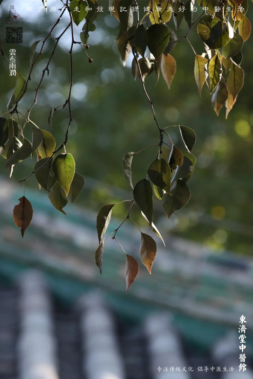 眼睛干嗓子干鼻子干吃什么药,眼睛干嗓子干大便干怎么回事