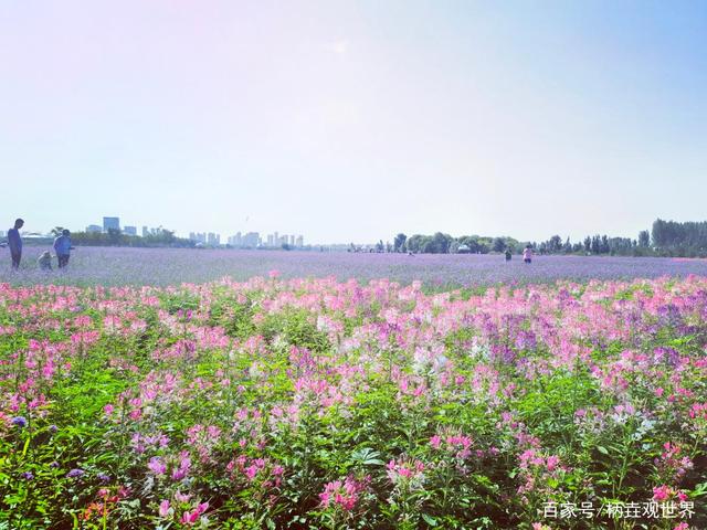 包头为什么成为重工业城市,包头为什么叫包头市