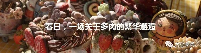 多肉煤烟病可以用酒精擦吗,多肉煤烟病怎么治