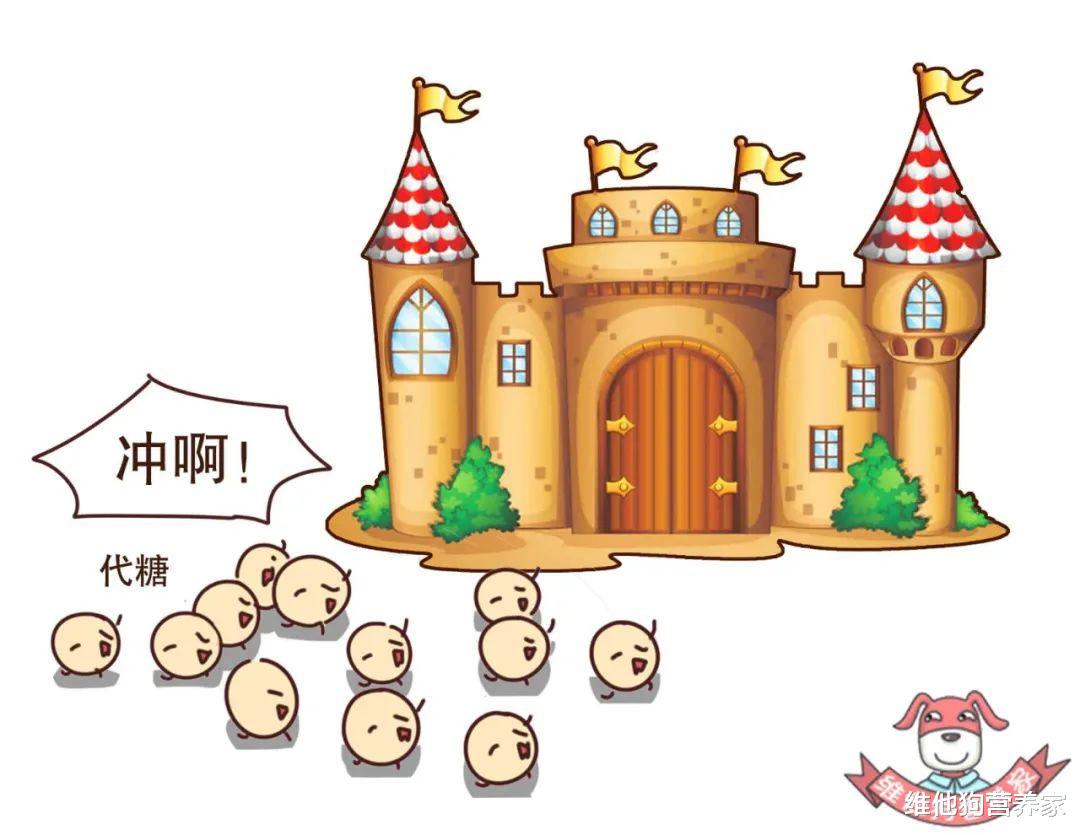 0脂肪0热量代餐零食零糖,0糖0脂肪健康代餐