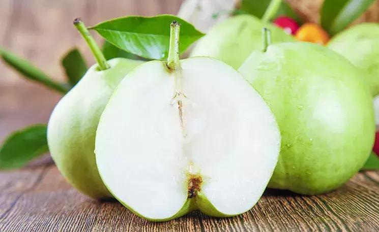 “阳信鸭梨”区域公用品牌形象标识