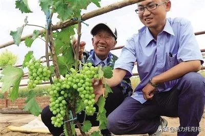 青城先锋,抓党建提士气助推脱贫攻坚