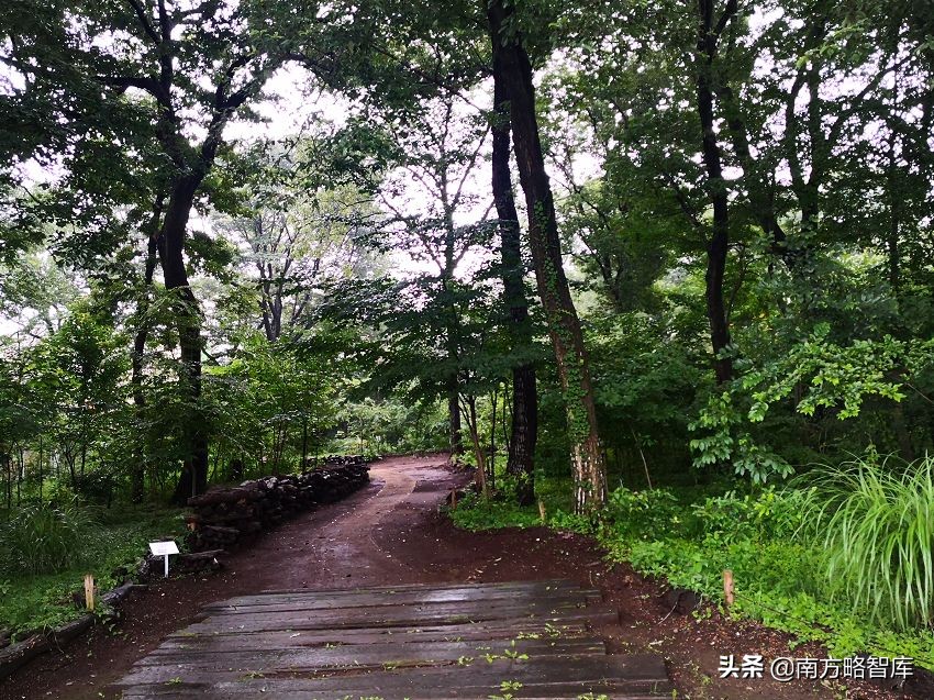 日本知名小微企业,日本小微企业发展之道