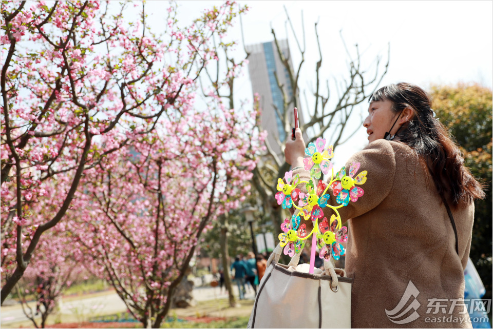 冬日暖阳黄兴公园的美景,公园黄兴公园
