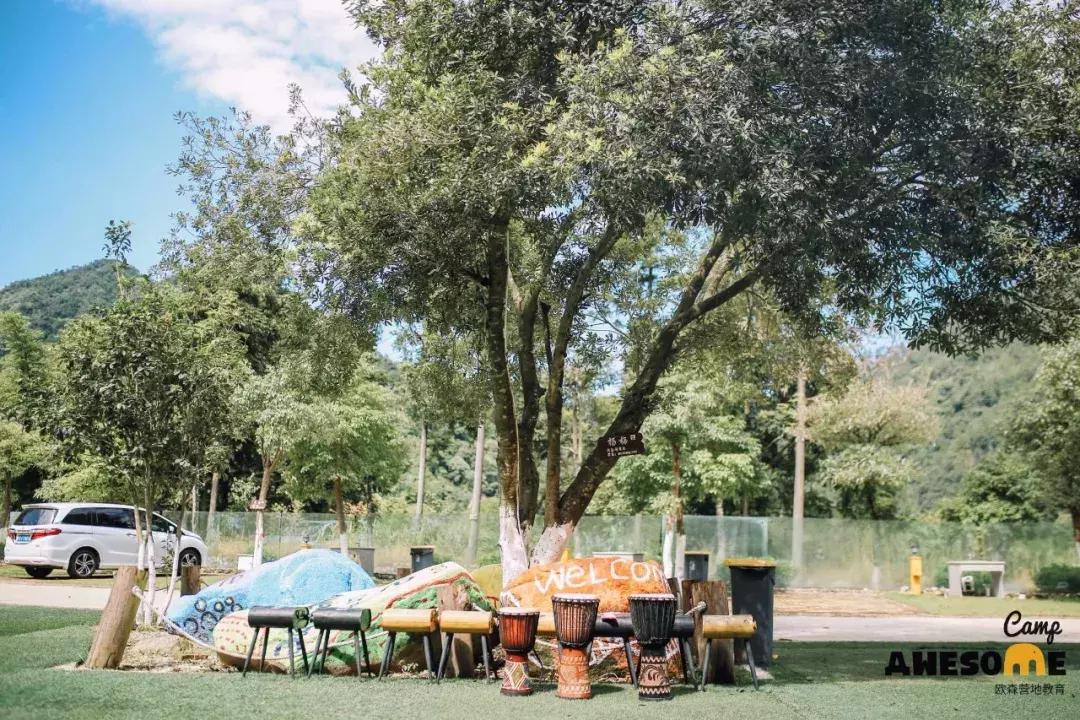 欧森悦光森林营地,欧森黄山国际夏令营有什么玩的