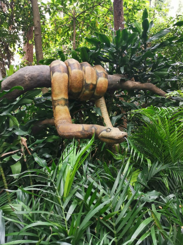 长隆野生动物园值不值得去玩,广州长隆野生动物园在哪里