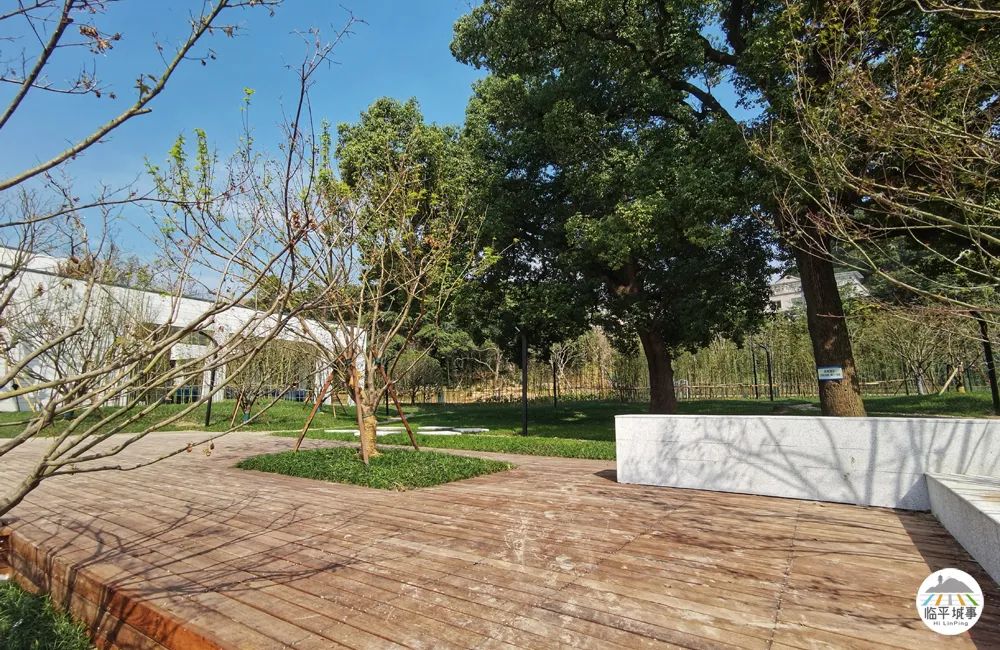 临平休闲运动公园,临平运动休闲公园免费吗