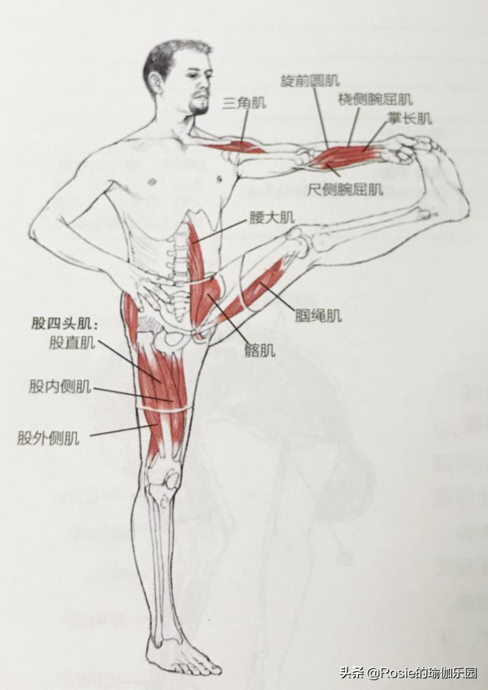 产后平躺腰疼是怎么回事,产后腰痛膝盖痛怎么锻炼