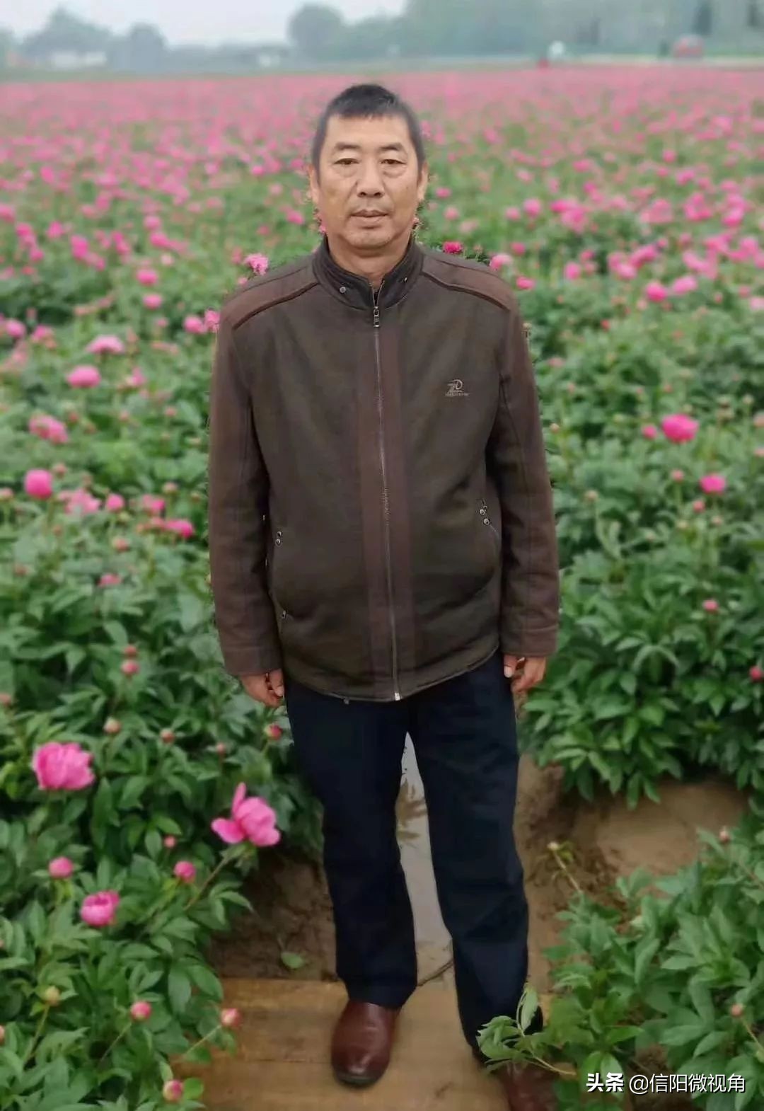 河南一名55岁村支书牺牲,农村村支书因公殉职