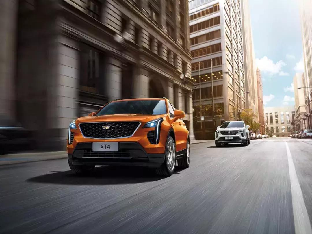 万绿丛中一点红菏泽,万绿丛中一点红为什么那么红