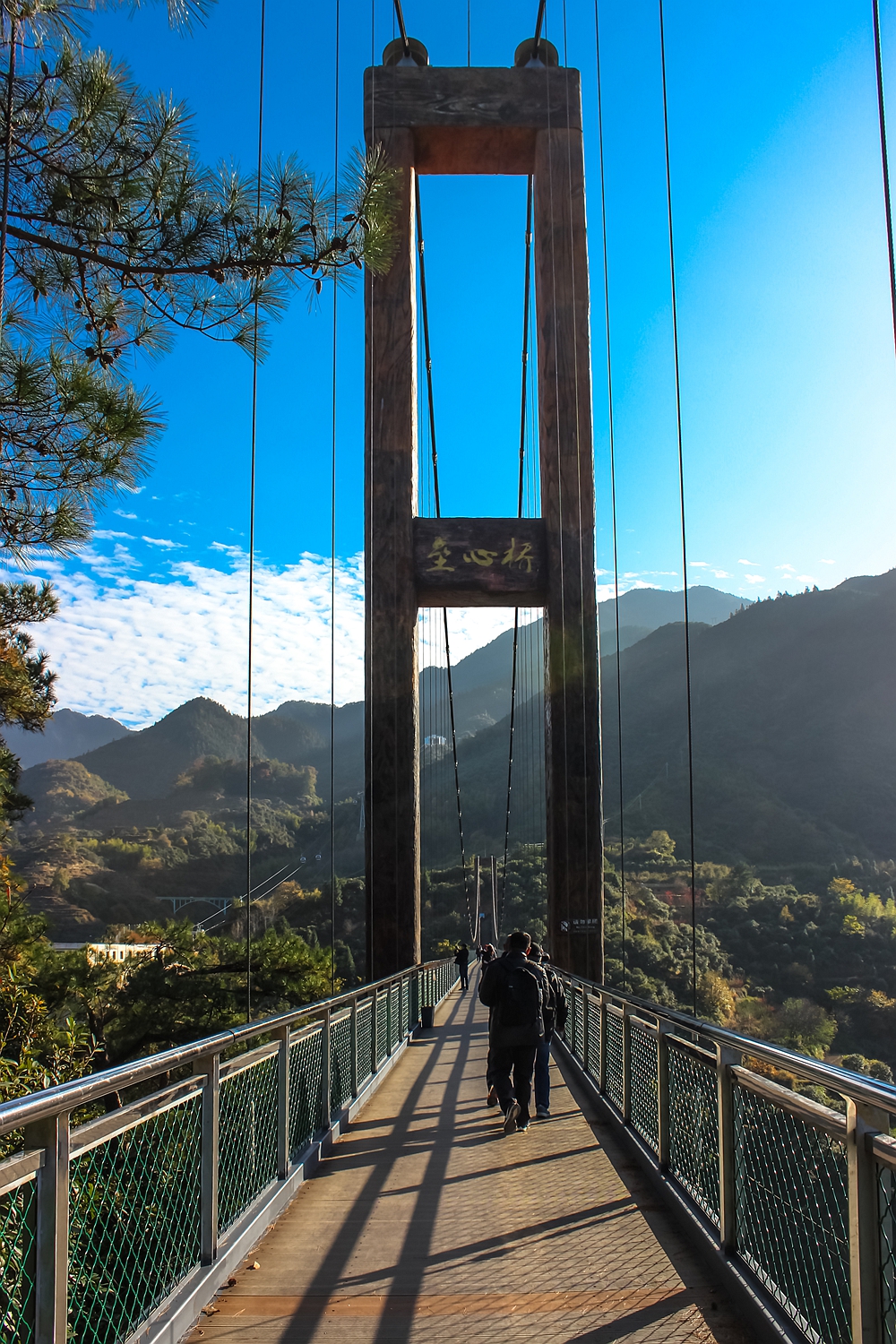 婺源篁岭梯田花海,婺源篁岭欢乐颂