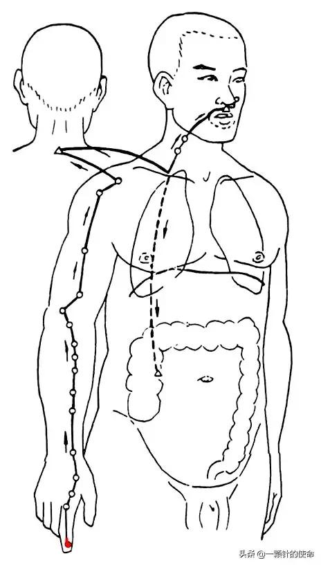 肠胃功能紊乱针灸,针灸能促进肠胃蠕动吗