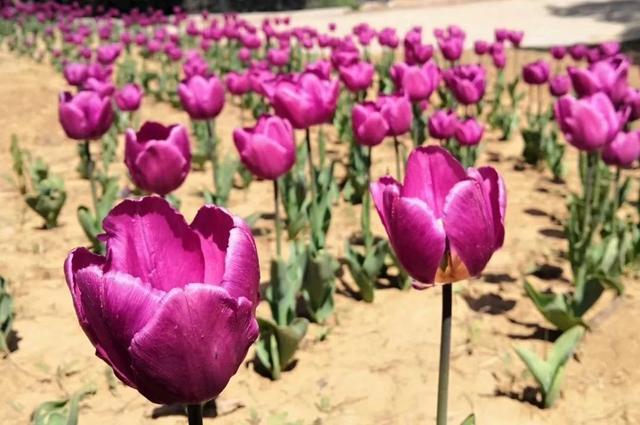 济南桌游馆,济南桌游哪里好