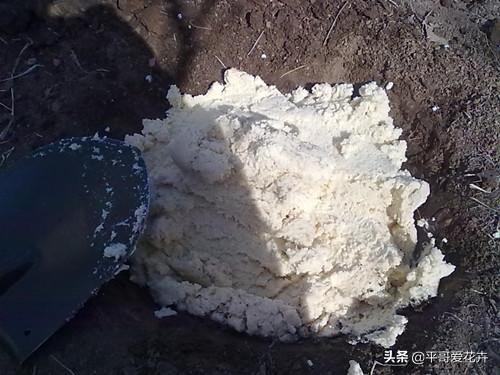 12月底,学会自制3种“营养土”,来年换盆肥效足、土壤疏松透气