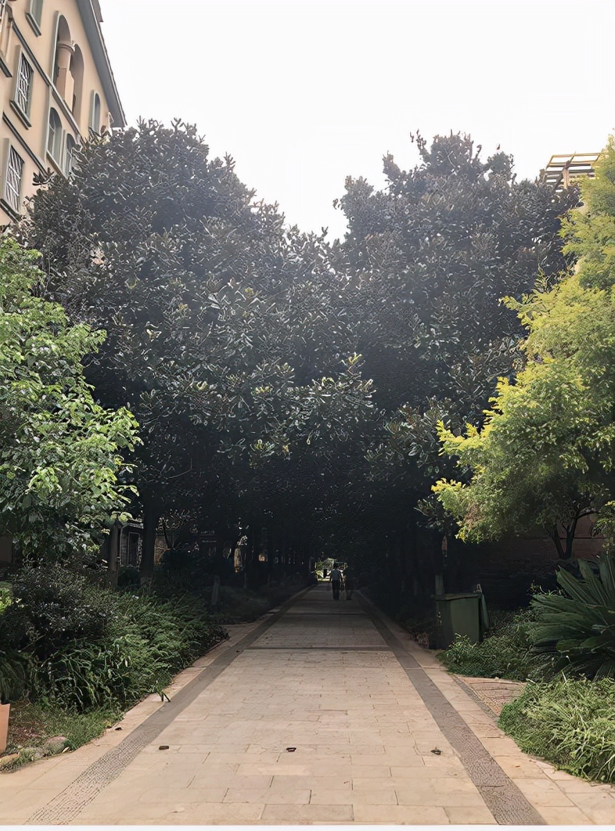 高楼层的低层为什么越来越吃香,高层真的没有低层吃香吗