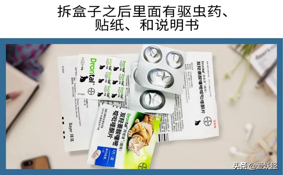 拜宠清猫驱虫药真假,拜宠清猫咪驱虫药怎么样