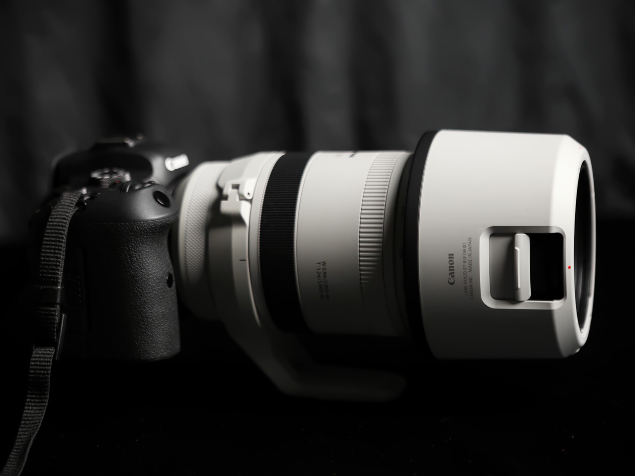 佳能rf100-500mm参数,佳能rf-s18-45mm测评