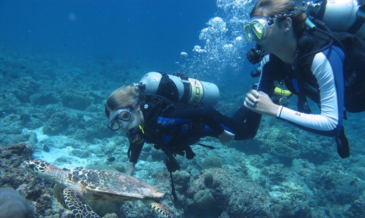 马尔代夫白金岛旅游攻略,马尔代夫旅游攻略四季库达岛