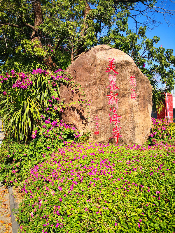 海南兰海美丽新海岸,海南8月风景