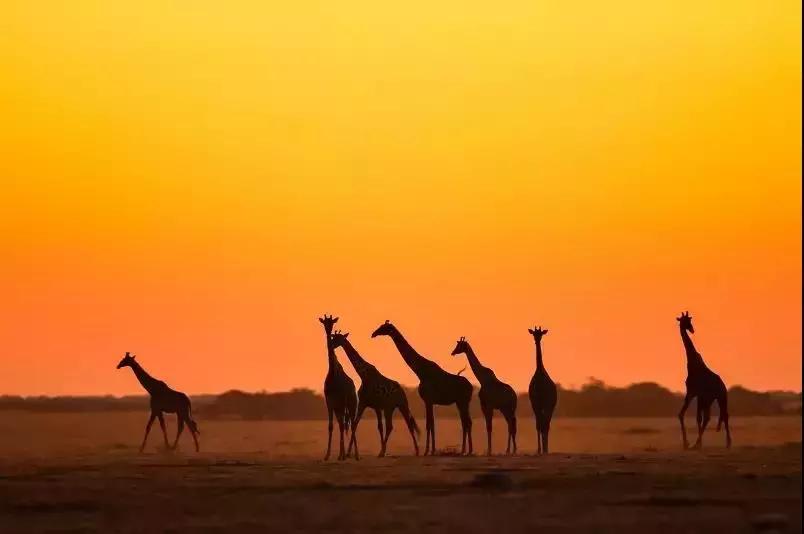 最新落地签免签国家,最新免签落地国家汇总