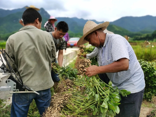 科技助力大棚农民致富,科技助农柑橘丰收