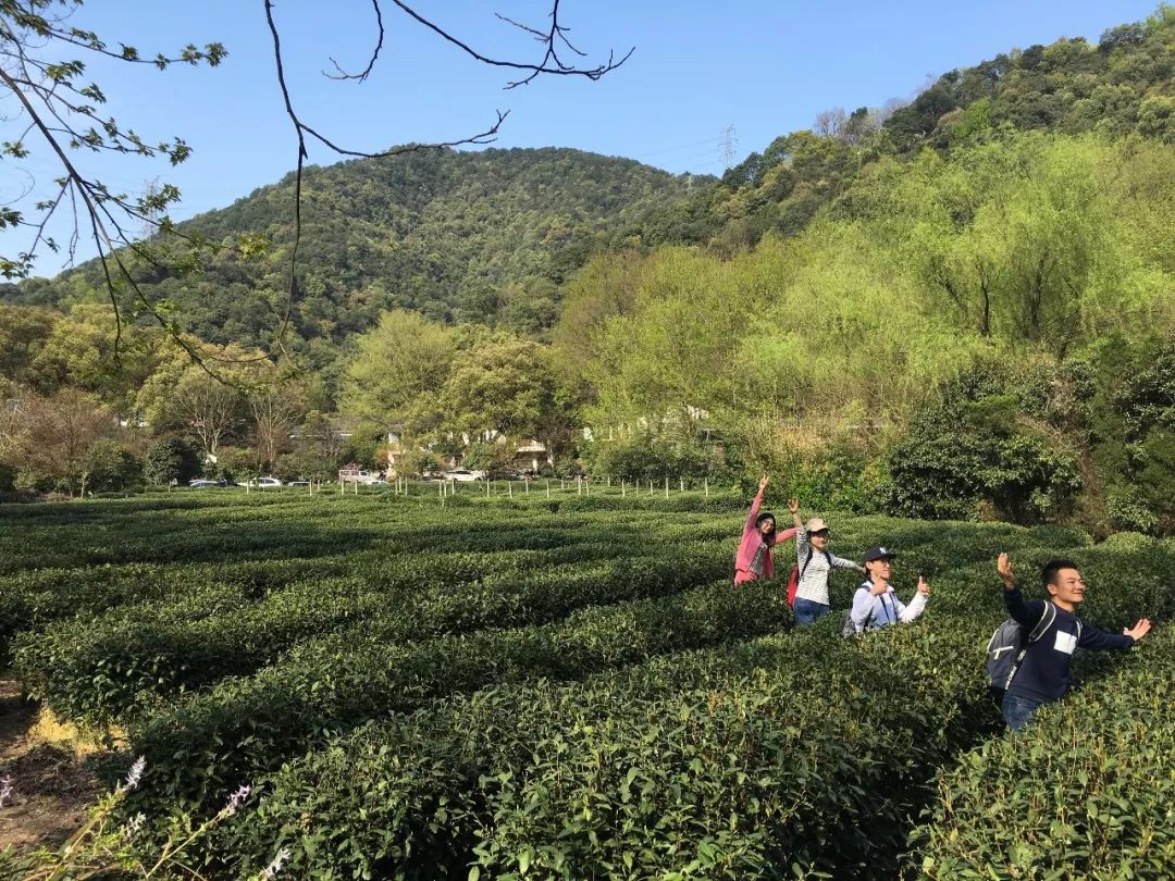 宁波踏青必去十大景点,宁波踏青景点介绍视频