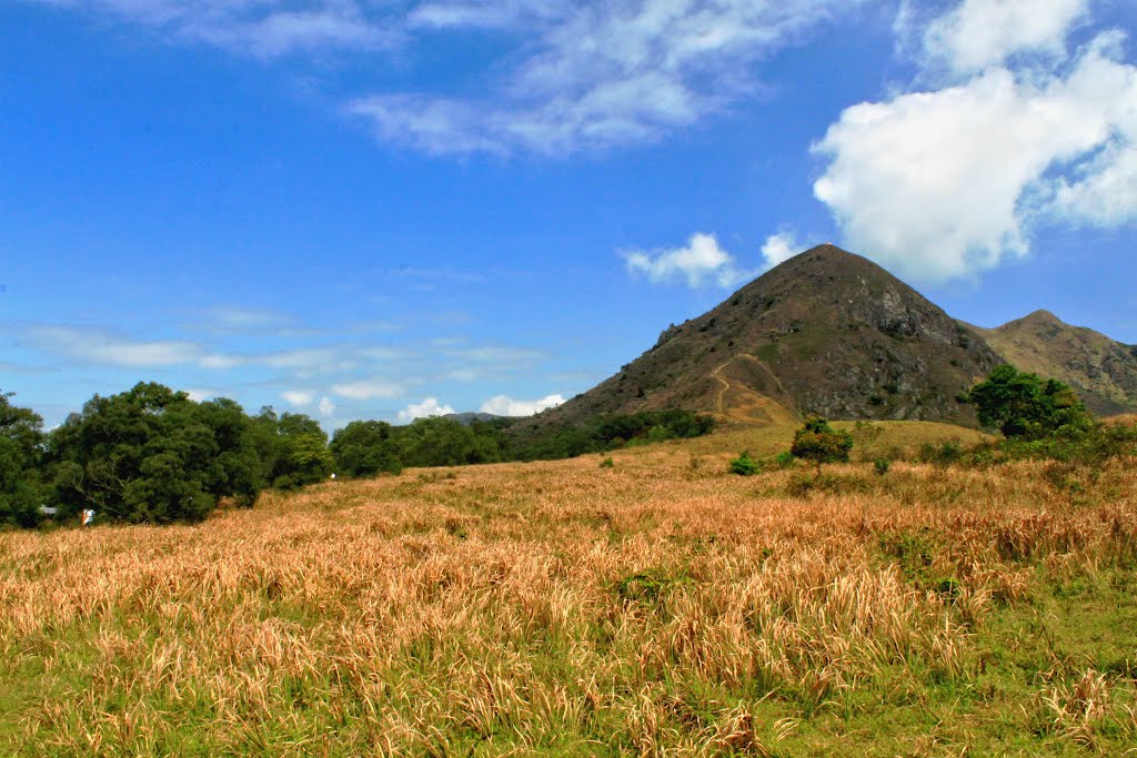 香港马鞍山郊野公园路线攻略,香港马鞍山附近的好去处