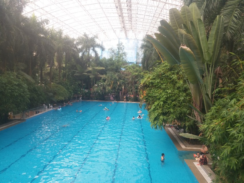 成园温泉山庄有住宿吗,成园山庄温泉乐园