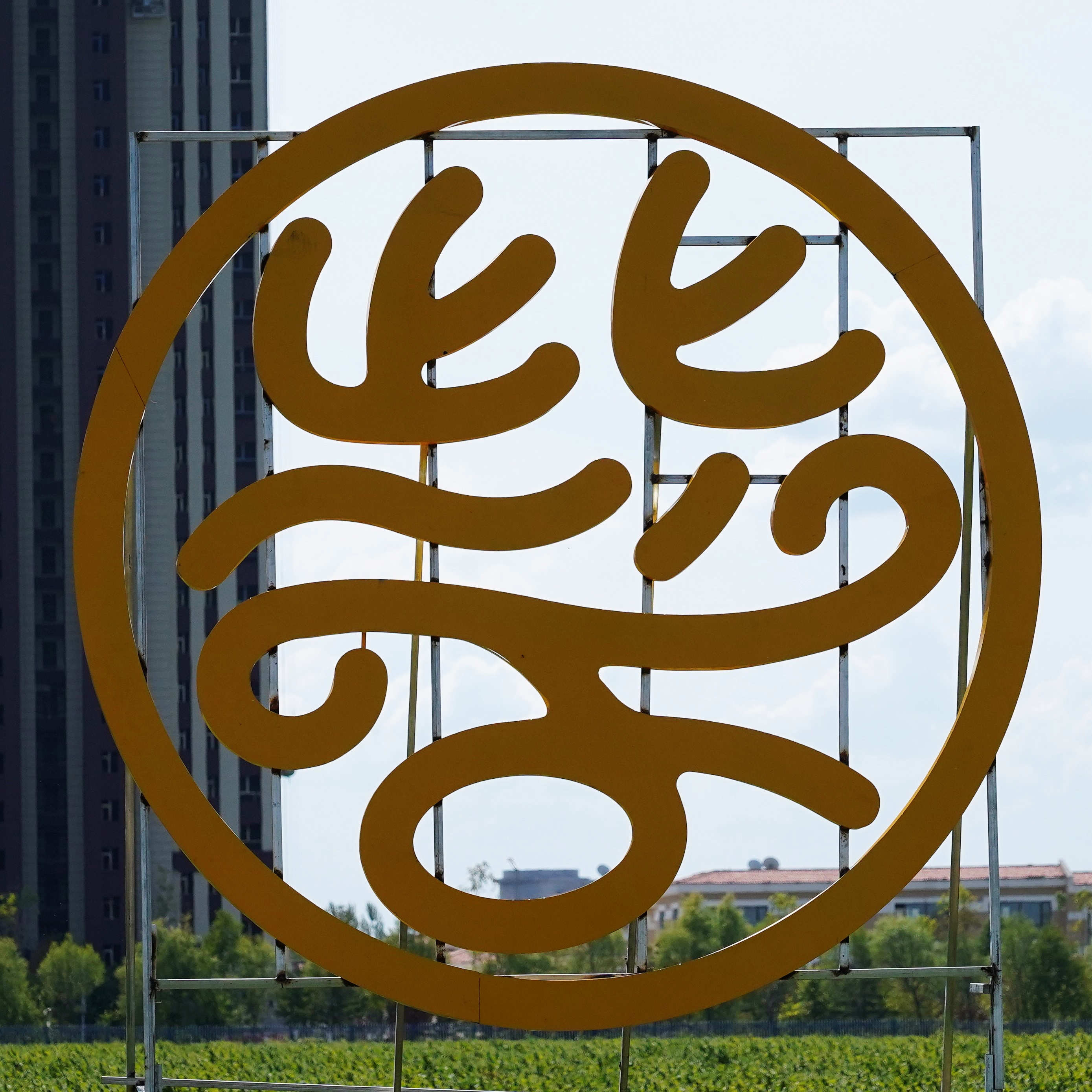 桦南紫苏种植基地在哪里,桦南紫苏简介