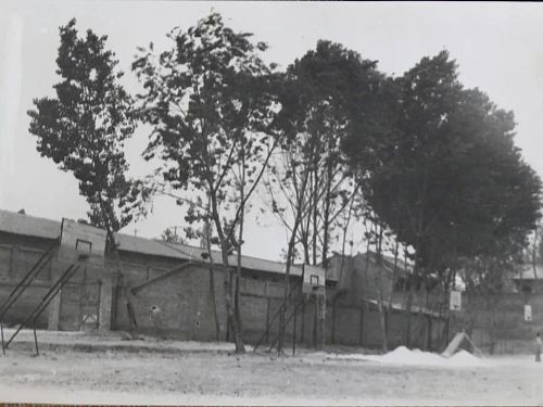 虢镇中学光阴的故事，还记得那年一起在操场上驰骋的少年吗？