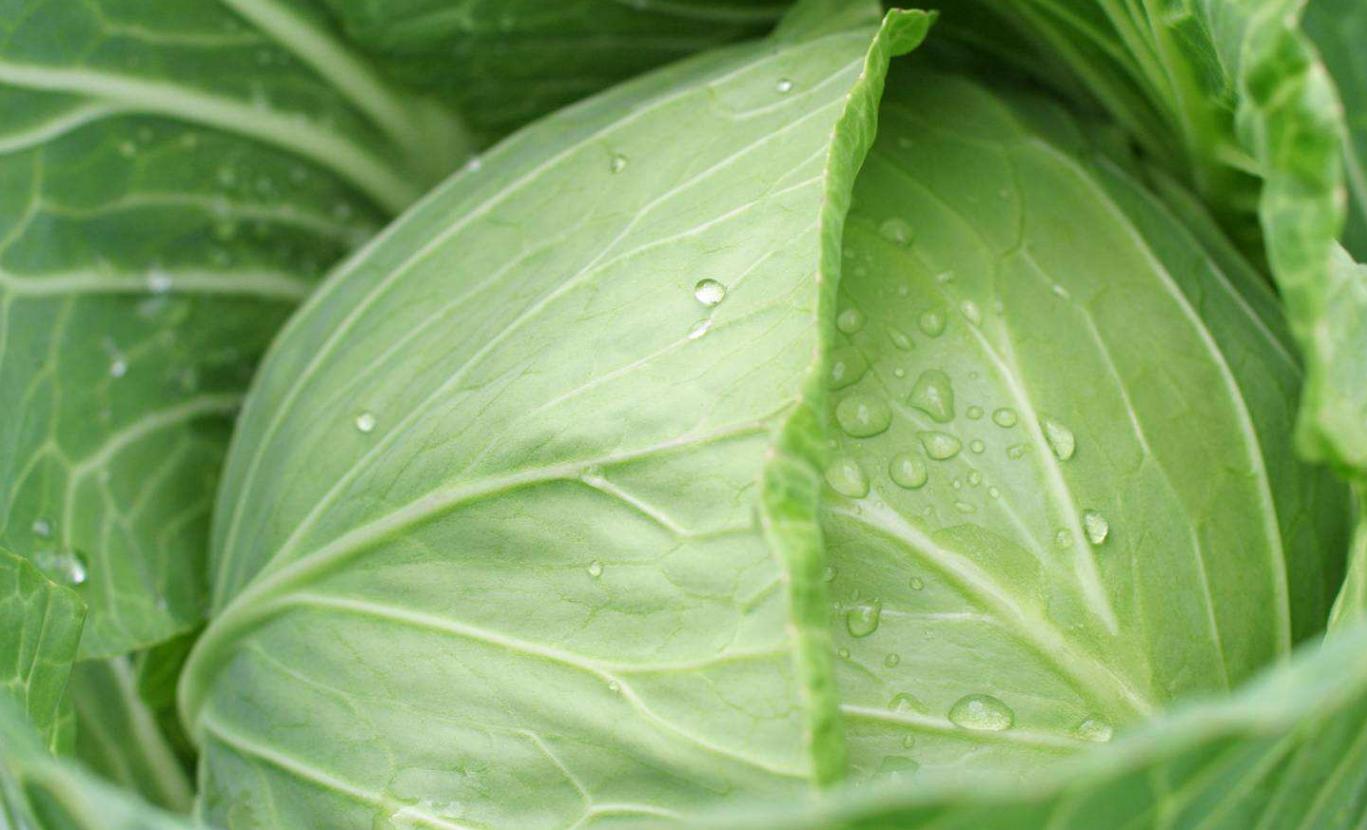 包菜炒米粉的做法简单又好吃,包菜炒面条最好吃的做法简单