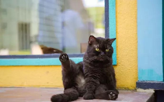 年纪大了老忘事语言表达也不利索,年龄大了忘事怎么办视频