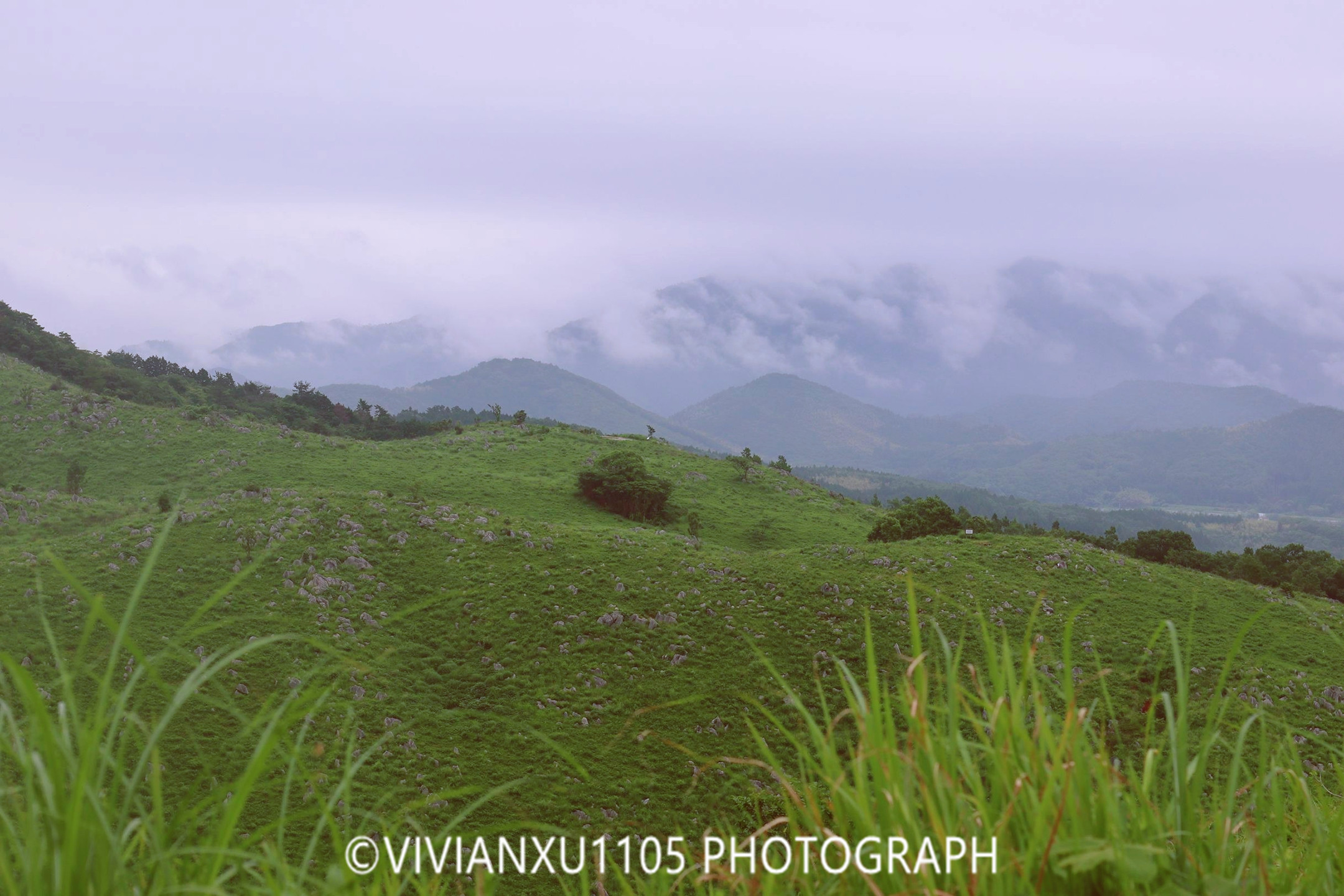 日本本州岛山阴山阳地区纯玩行程美图合集