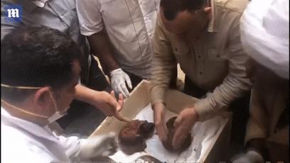 木乃伊泡水里吗,木乃伊泡水喝