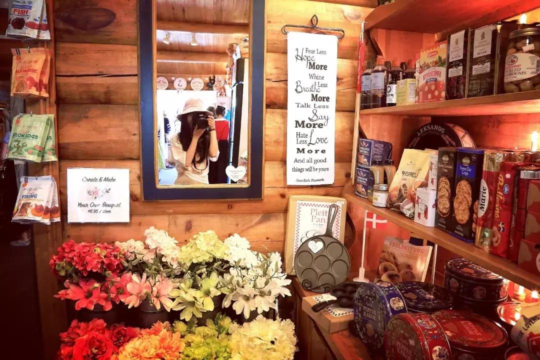 芝加哥南部旅游攻略图文,芝加哥附近旅游