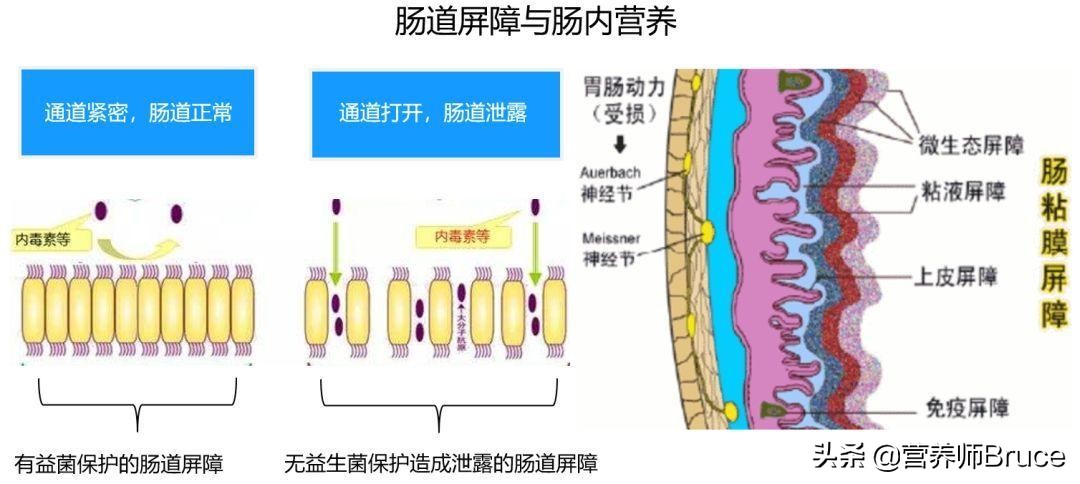 什么人容易乳腺癌,什么人易得乳腺癌