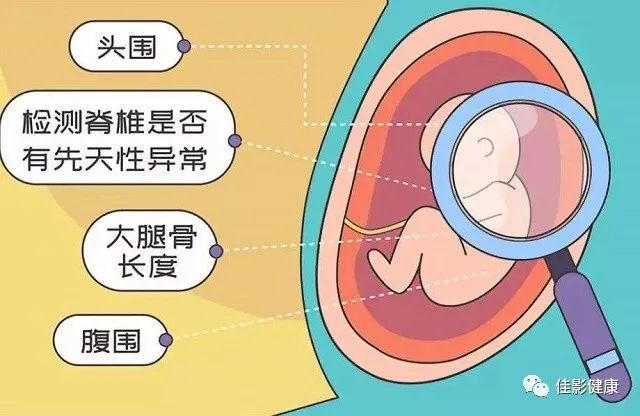 瀛曟湡浜ф椤圭洰鍜屾椂闂磋〃,瀛曟湡浜ф椤圭洰鍜屾椂闂磋〃澶у叏