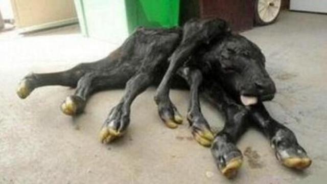 基站辐射和wifi辐射有什么区别,5g基站辐射比4g基站辐射强吗