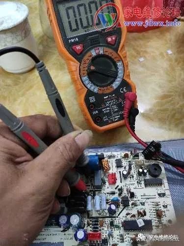 一群人和一只壁虎引发血案,一只壁虎引发的事件