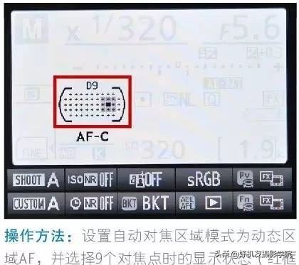 尼康相机如何分别对焦和测光,佳能相机全画幅新手教程