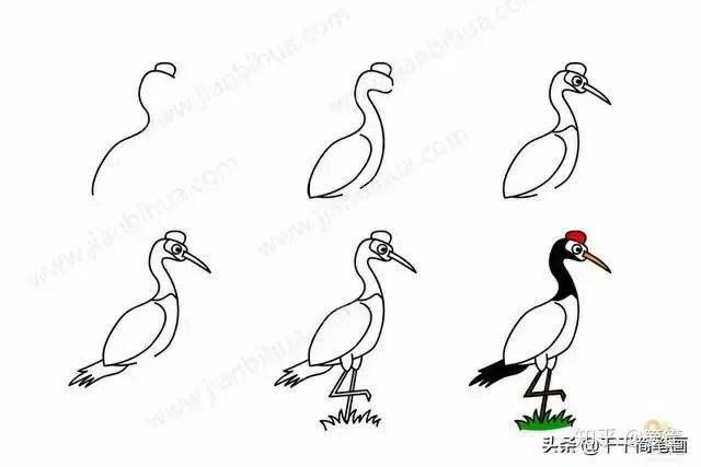 小动物的简笔画怎么画最简单的,画小动物的简笔画教程视频