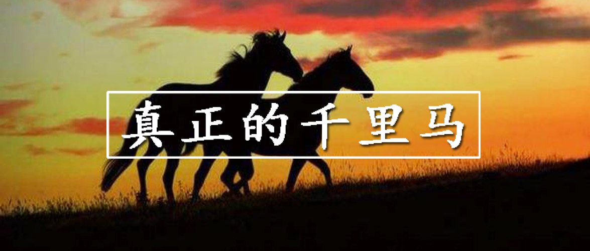 哪些行业比较适合长期投资,哪些行业值得长期投资