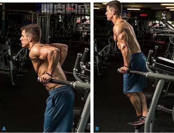 适合大体重的核心训练动作,基训腿部练习动作