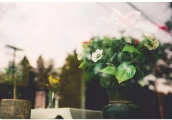 中华经典二十八个字的诗,10句诗总结一生