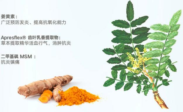 原装进口氨基葡萄糖,盐酸氨基葡萄糖进口和国产的区别